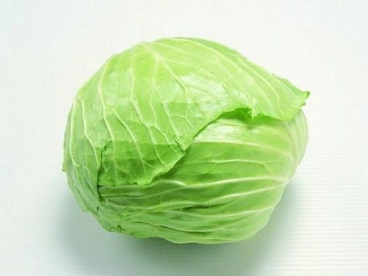 “共享菜园” 突然火了！合肥年轻人：好上头