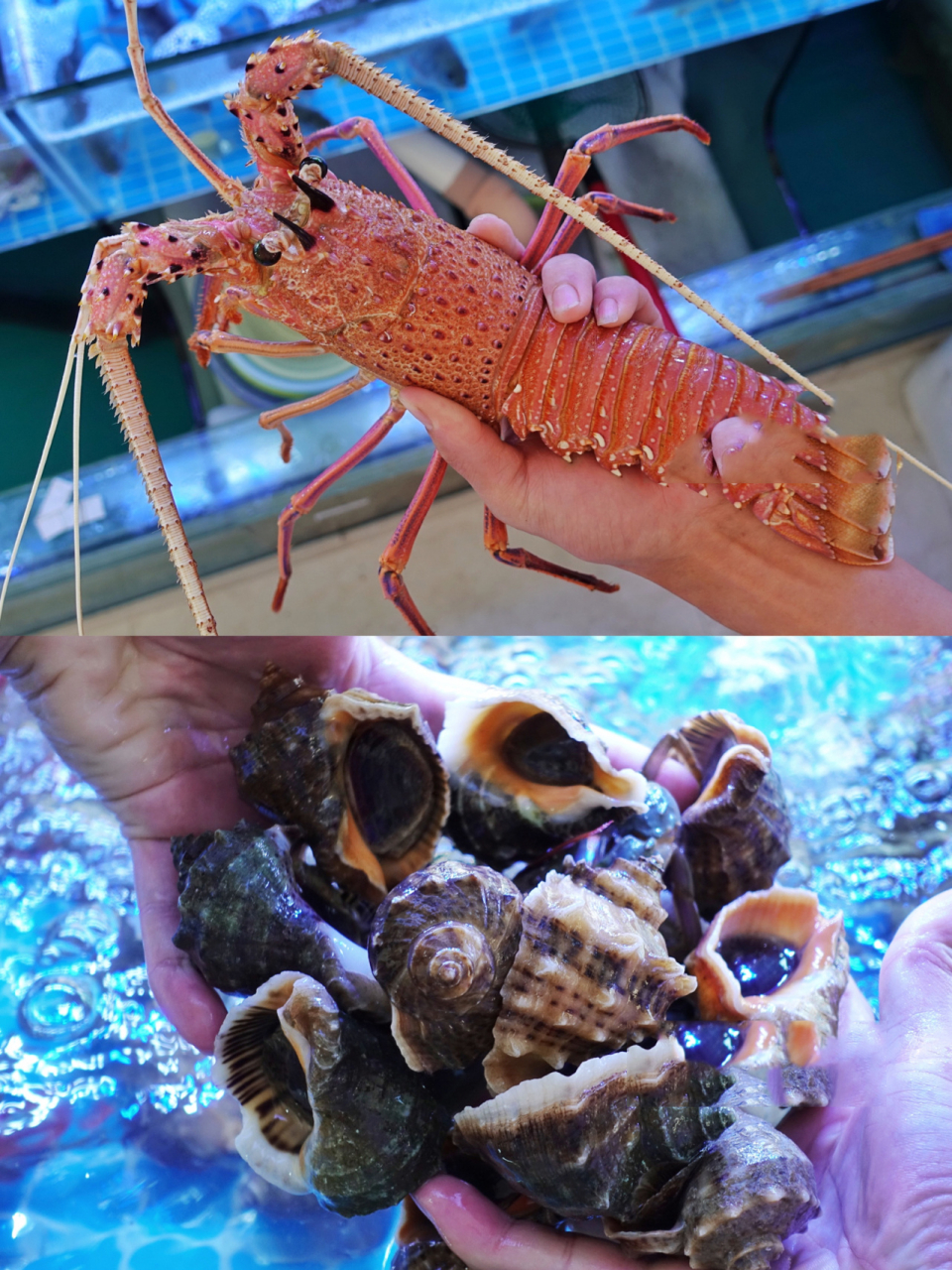 海门岛其实不大,开车几分钟就能环岛 由于过往交通