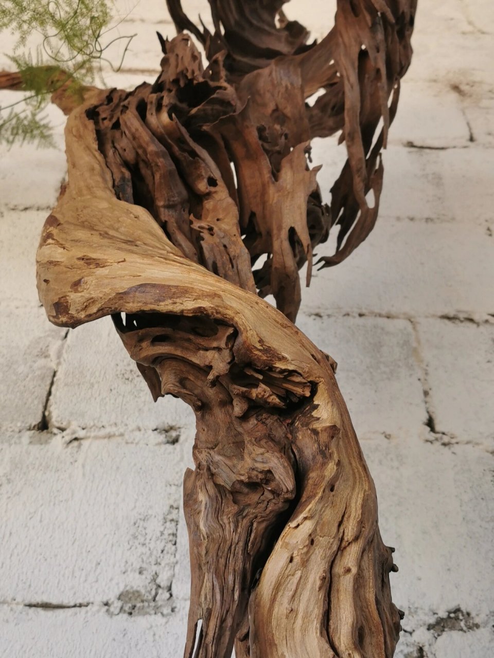 很精品的一个根艺摆件 婀娜,镂空,风化无一不是大自然的杰作.