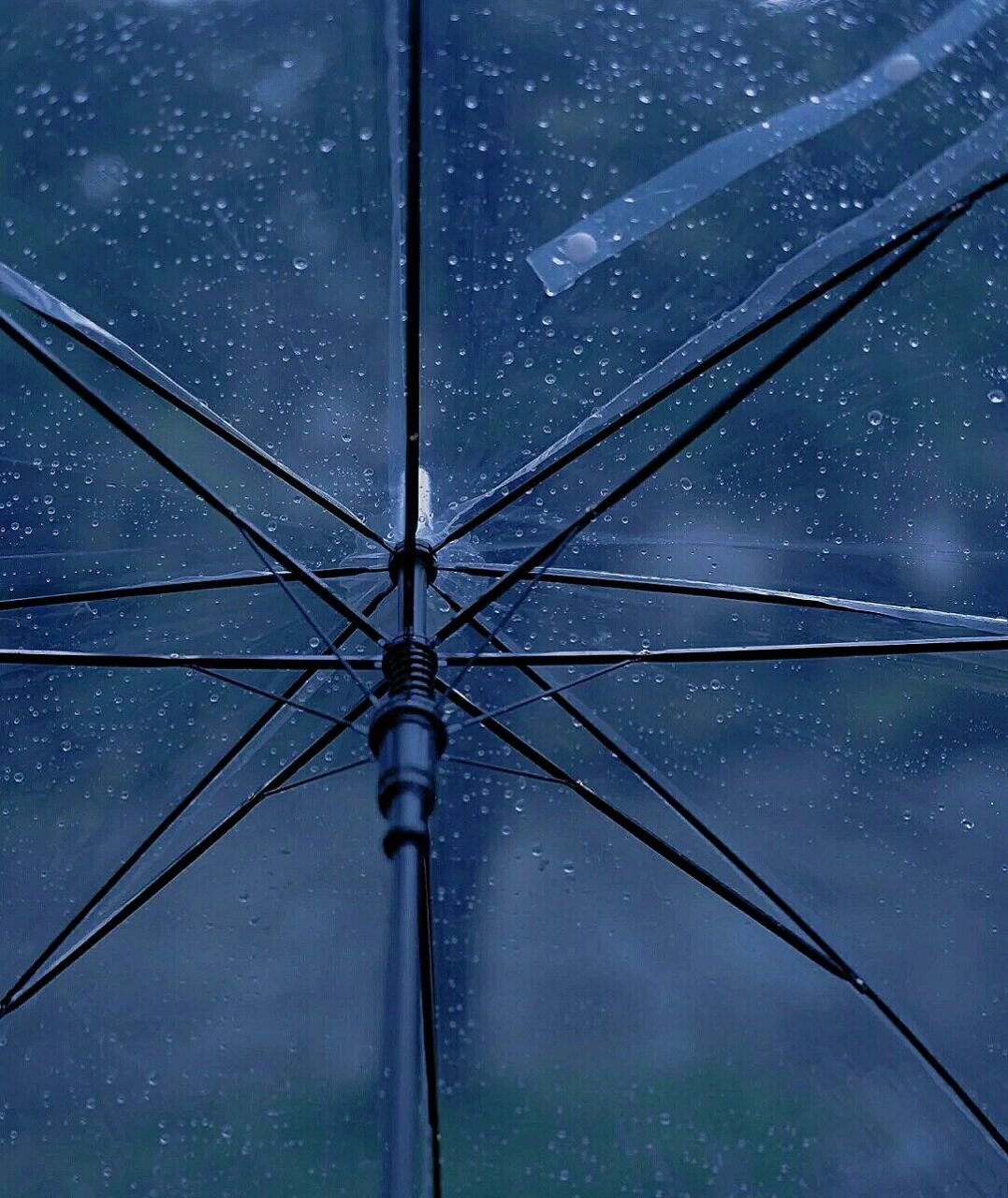 下雨高级图片 下雨的图9090 快点收藏起来吧78157815