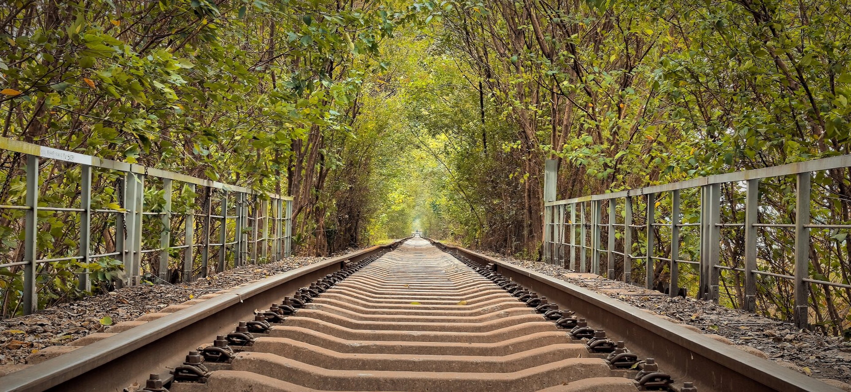合肥爱情隧道 《爱情隧道》一条满满诗意,随处可留下青春年华,甜蜜