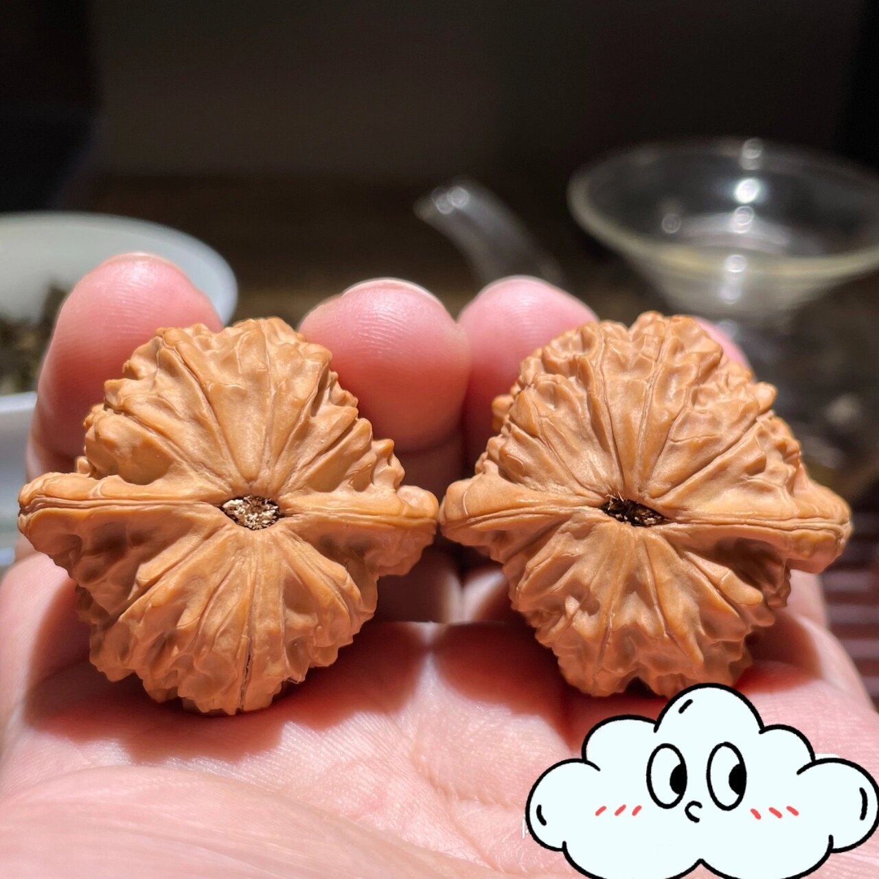 文玩核桃品种介绍(七十六)马老四 98马老四狮子头,以树主名字命名的