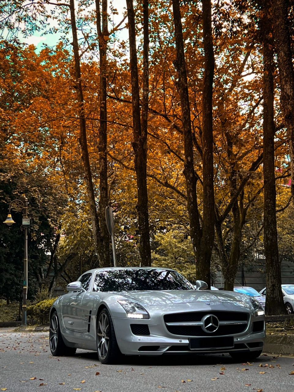 3自吸鸥翼门 今天的翻新项目是这台13年的奔驰sls amg!