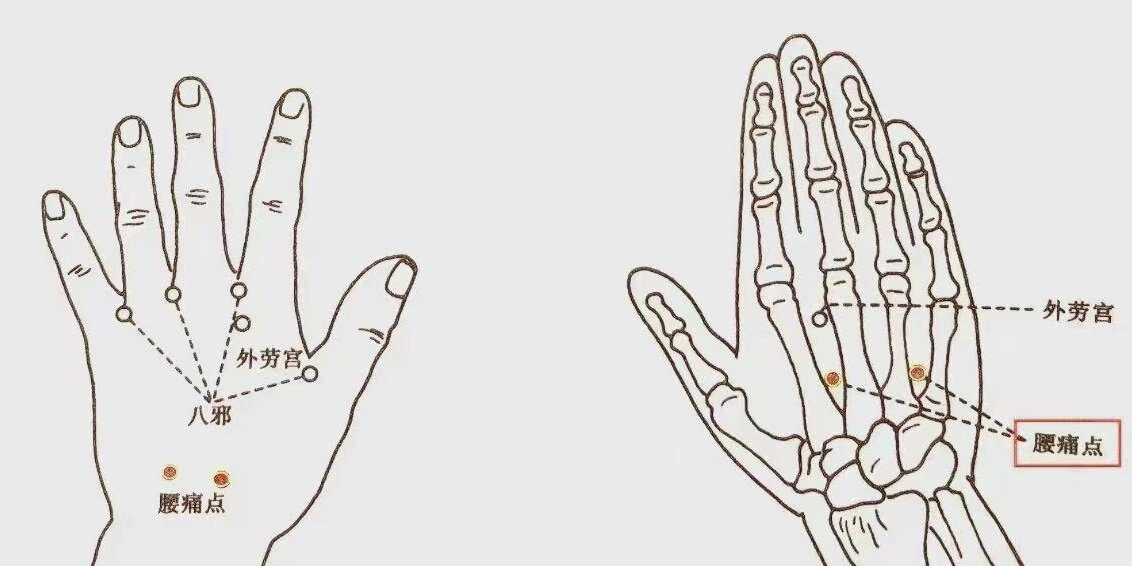【腰痛】 腰痛点,每侧手背两个穴位,共四穴.