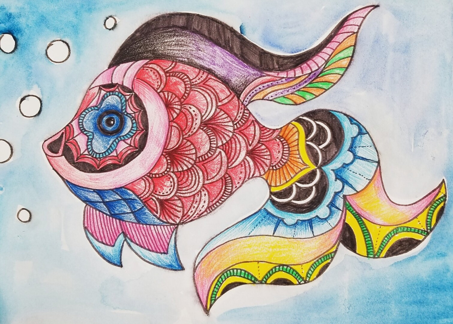 彩铅线描鱼 线描鱼#彩铅鱼96#儿童画#创造美术 #彩铅