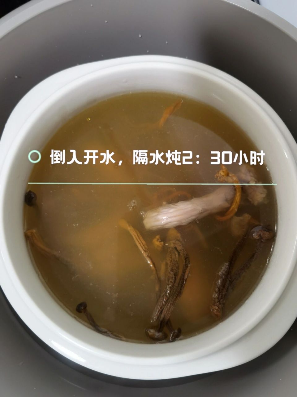 入秋进补|虫草花鹿茸菇老鸽汤～孕妇营养汤 来自一个小孕妇的营养汤
