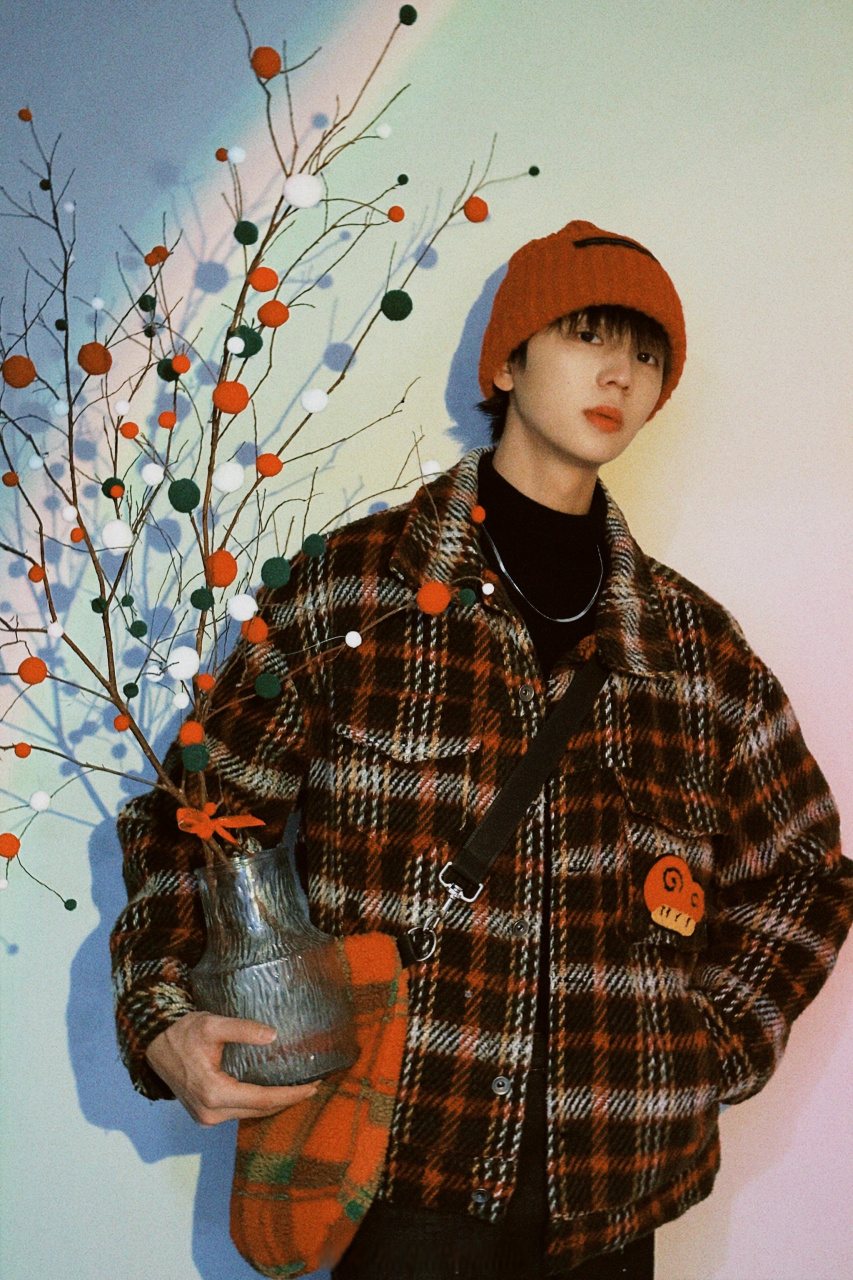 #苏泽林#  马路牙子边捡到的树枝,diy后这不就支棱起来了嘛#网剧少年