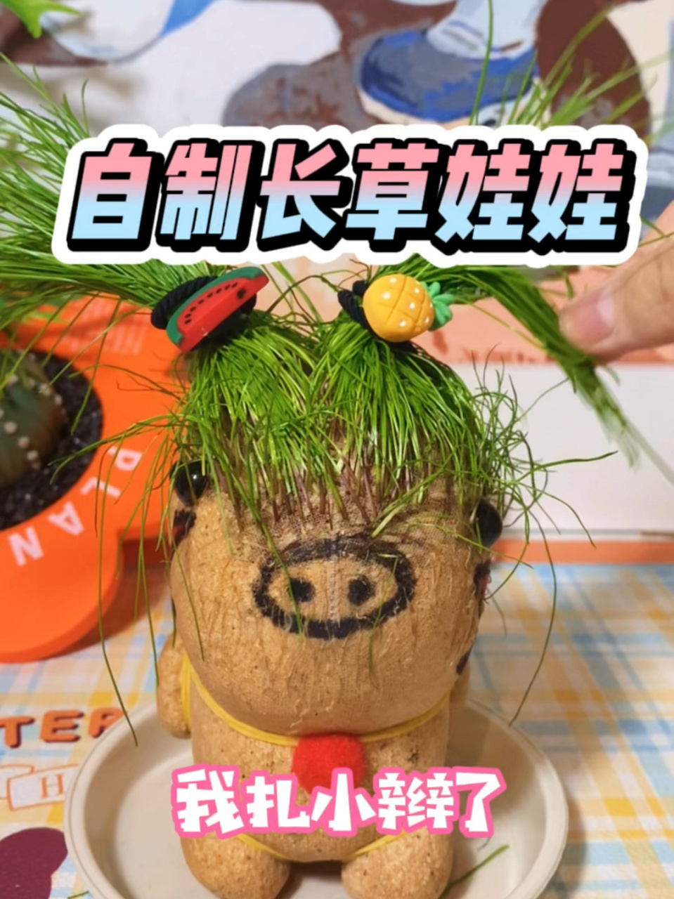 自制长草娃娃,结局竟然是这样! 长草娃娃
