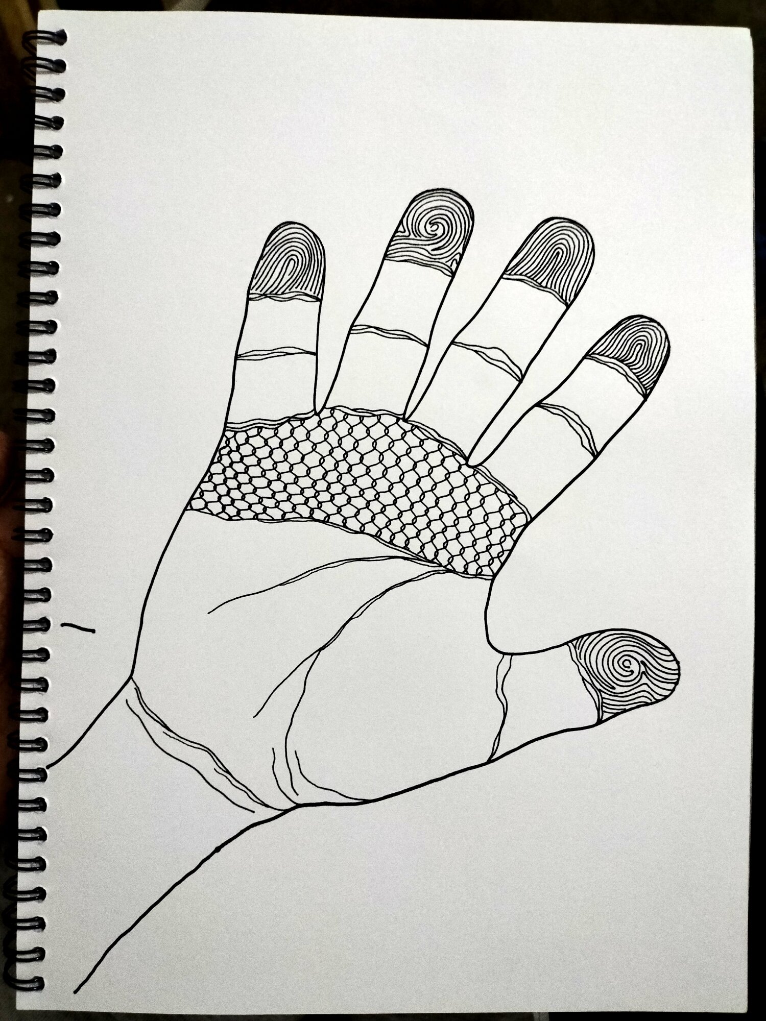 手掌世界 线描画