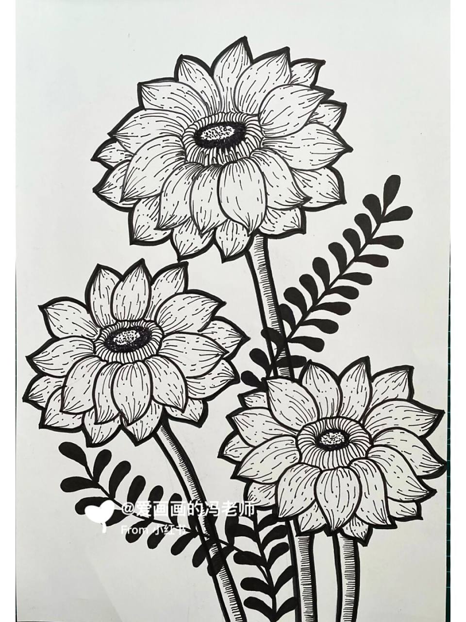 菊花,雏菊 花卉用到了针管笔,点线面结合 备课用到了马克笔 #儿童画