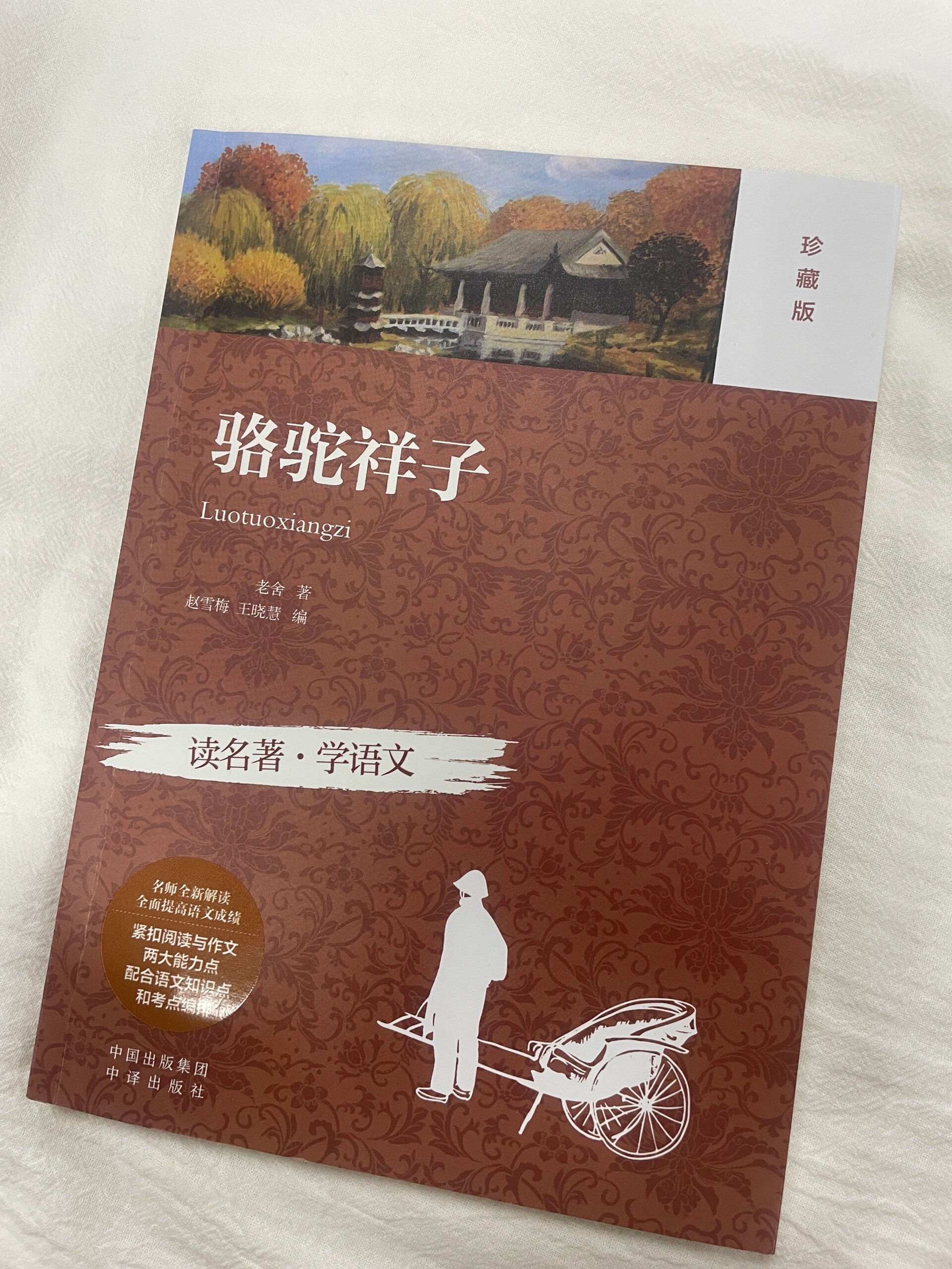 《骆驼祥子》对普通人命运的思考有什么启发