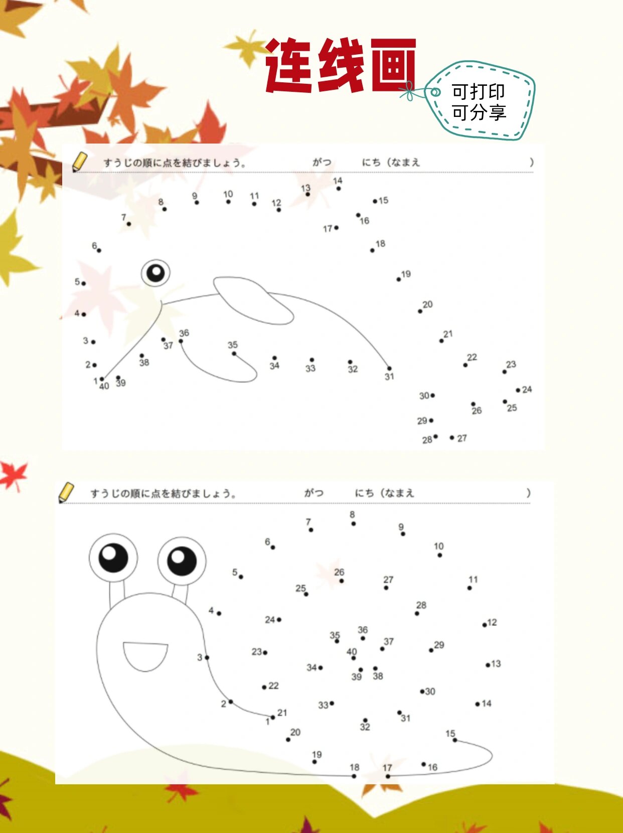 数字连线画 幼儿趣味数学 提升专注力