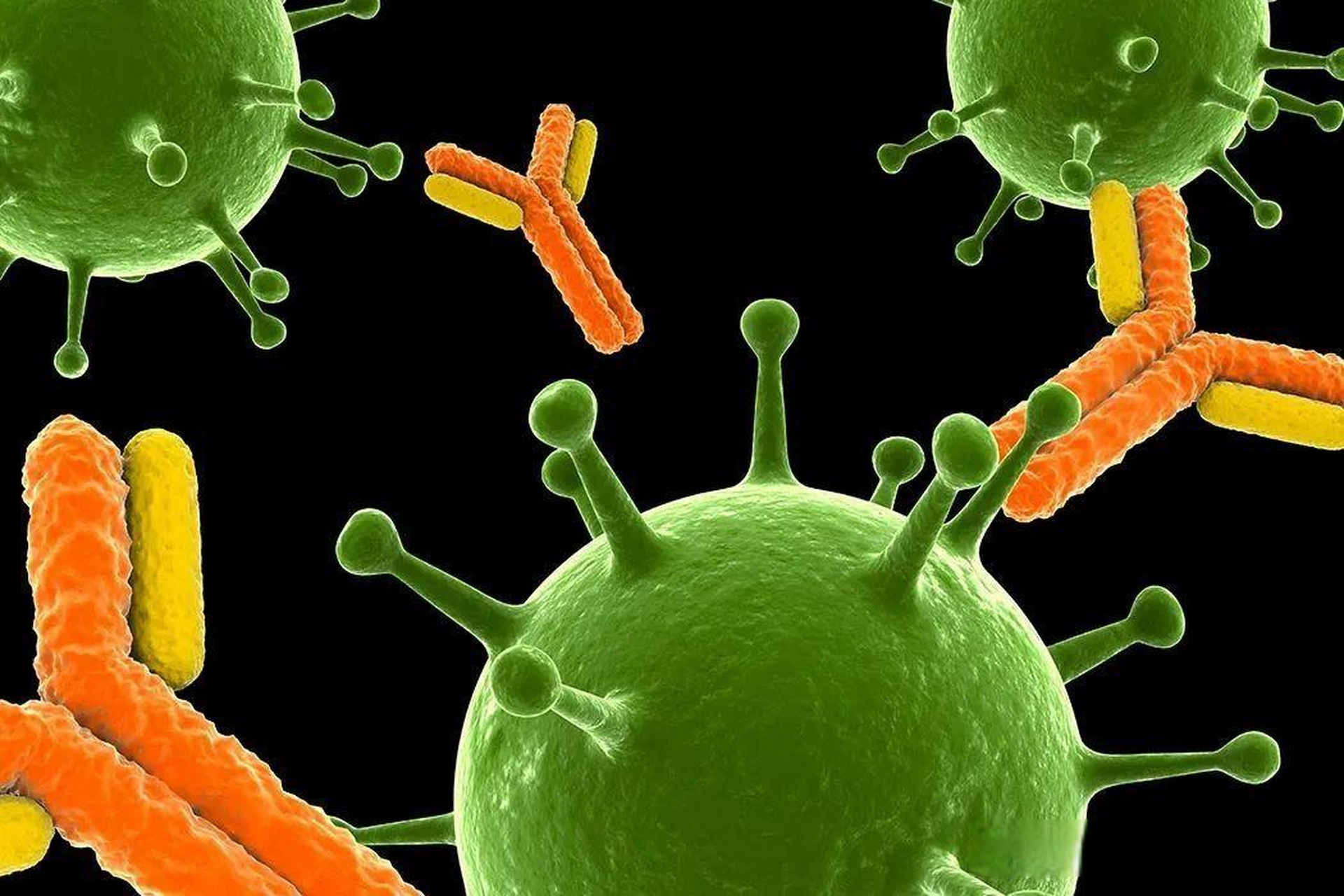 乙型流感病毒会影响人体的免疫系统,导致身体虚弱,容易感染其他疾病.