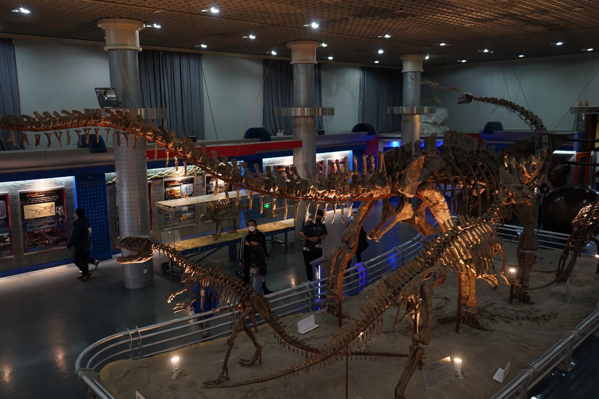 北京自然博物馆|详细游玩攻略建议 92地址:北京市东城区天桥南大街