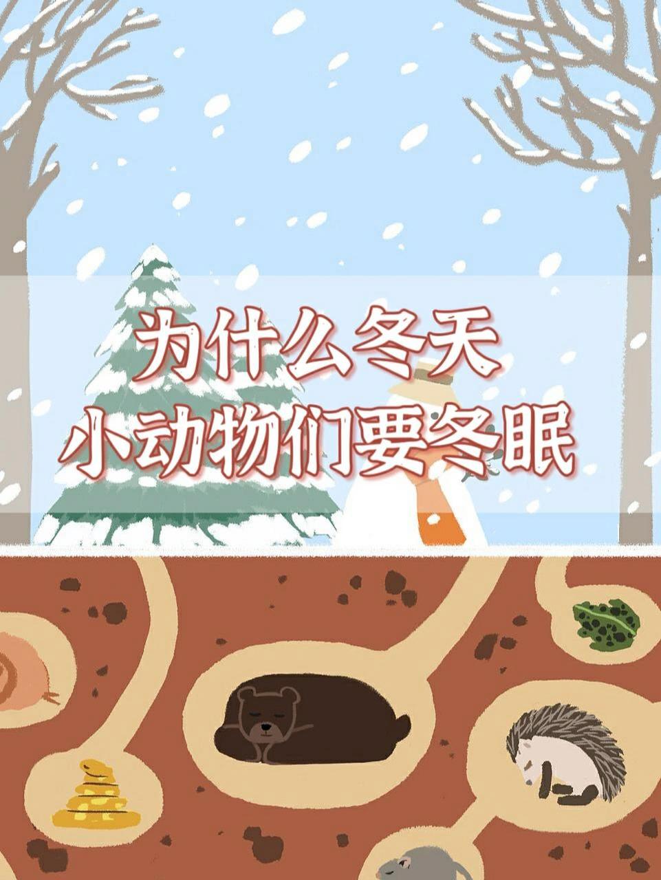 知识科普丨为什么冬天小动物们要冬眠98 chichi小课堂又来啦～ 天气