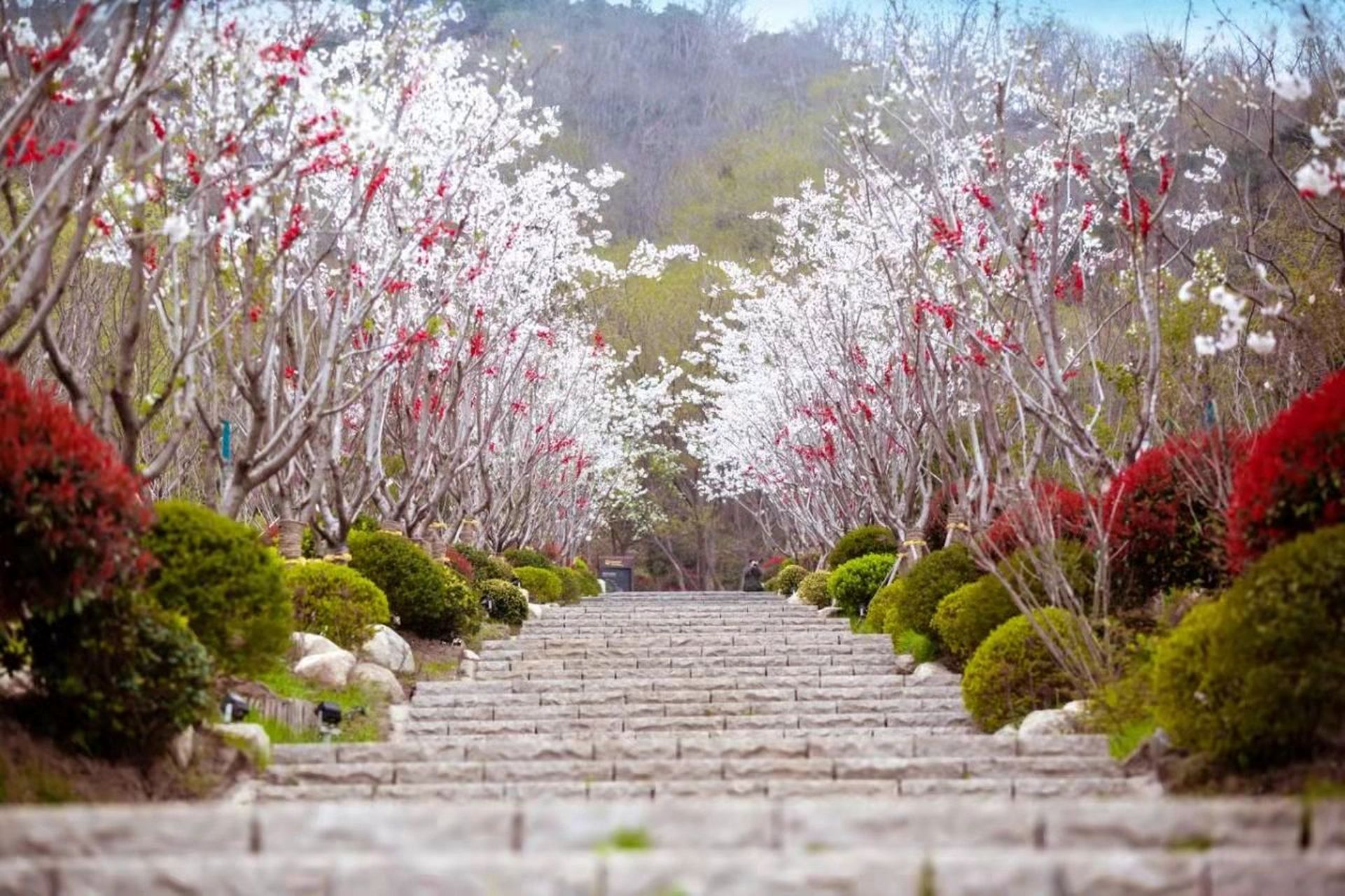 打卡日照天台山风景区  天台山风景区位于日照市涛雒镇下元一村 门票