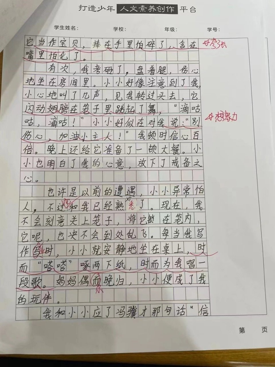 我的动物朋友鹦鹉作文图片