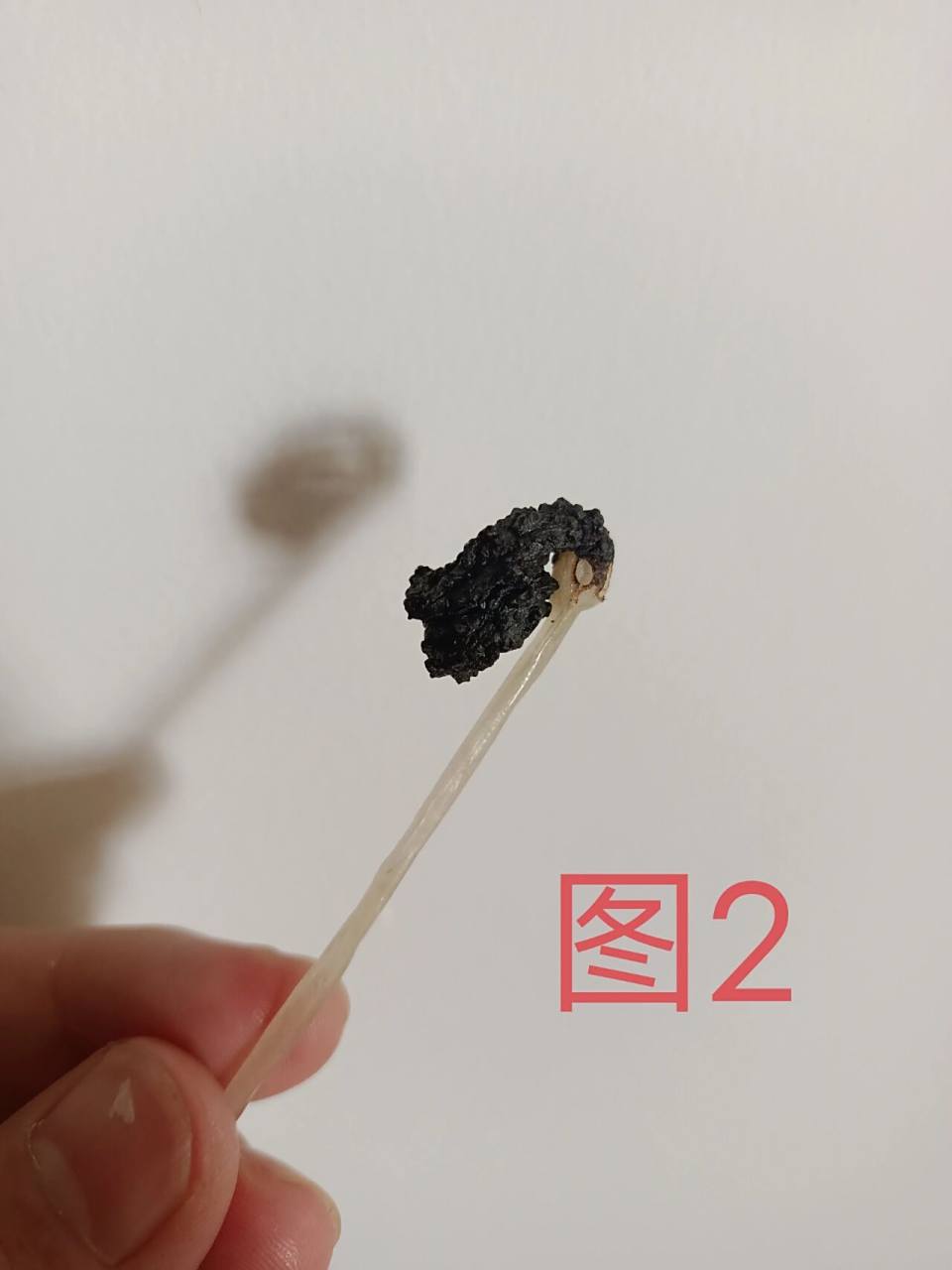 真假辨别 买了两种粉条,收到后用火97点燃试一下,两种结果,不知道图