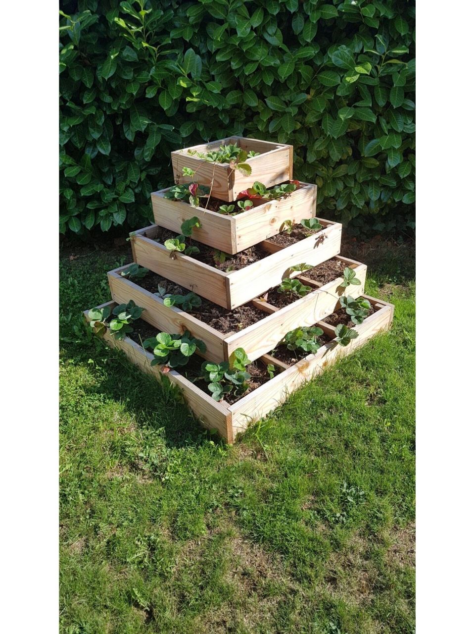 18款高效能塔型立体园艺种植装置.