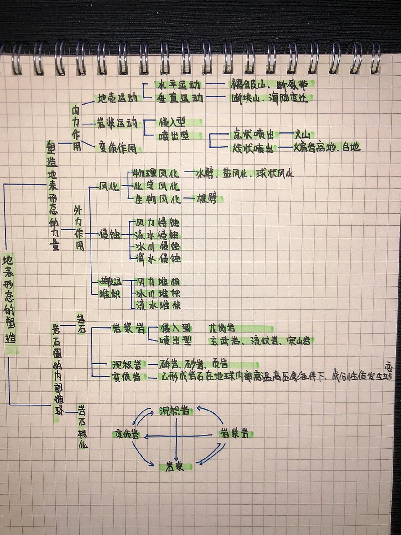 植物学第二章思维导图图片