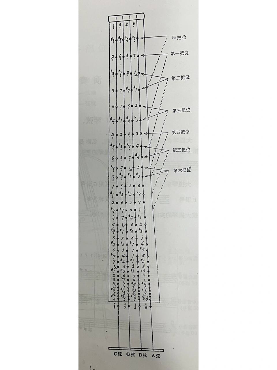 大提琴把位图 有高音谱号,低音谱号,次中音谱号五线谱对应着把位图