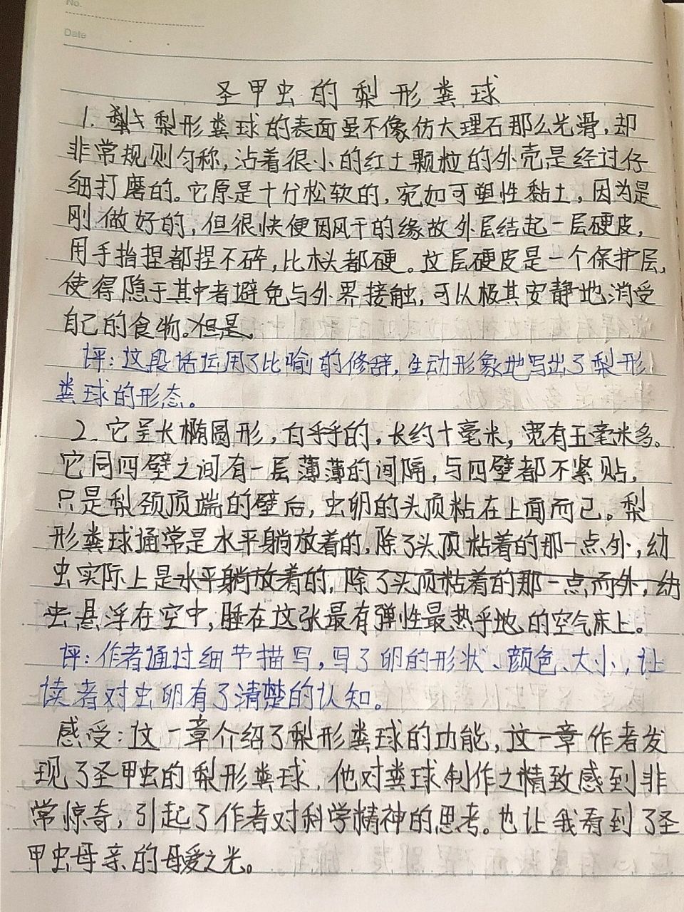 昆虫记读书笔记 第十九章 圣甲虫的梨形粪球