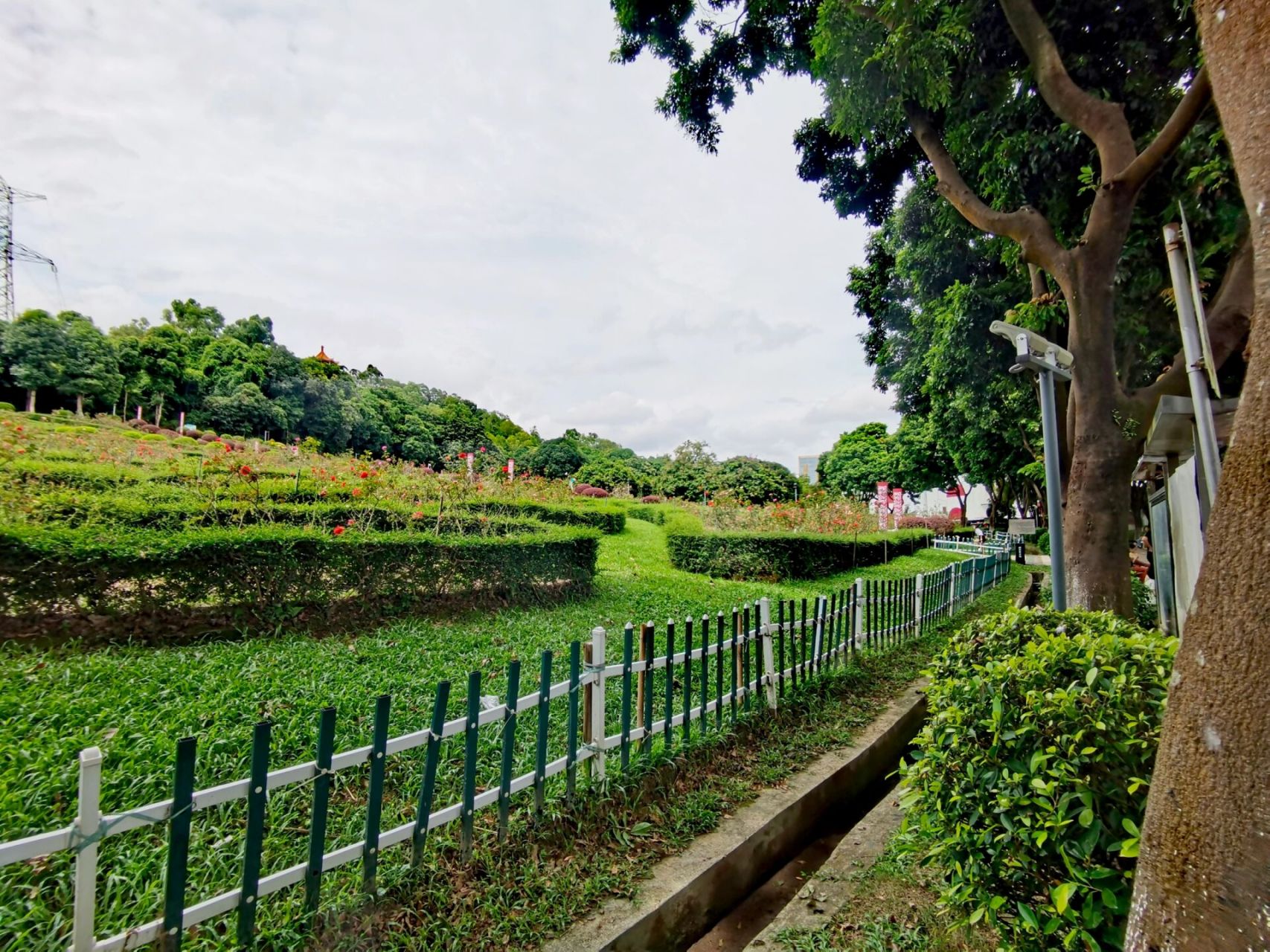 紫马岭公园-南门①