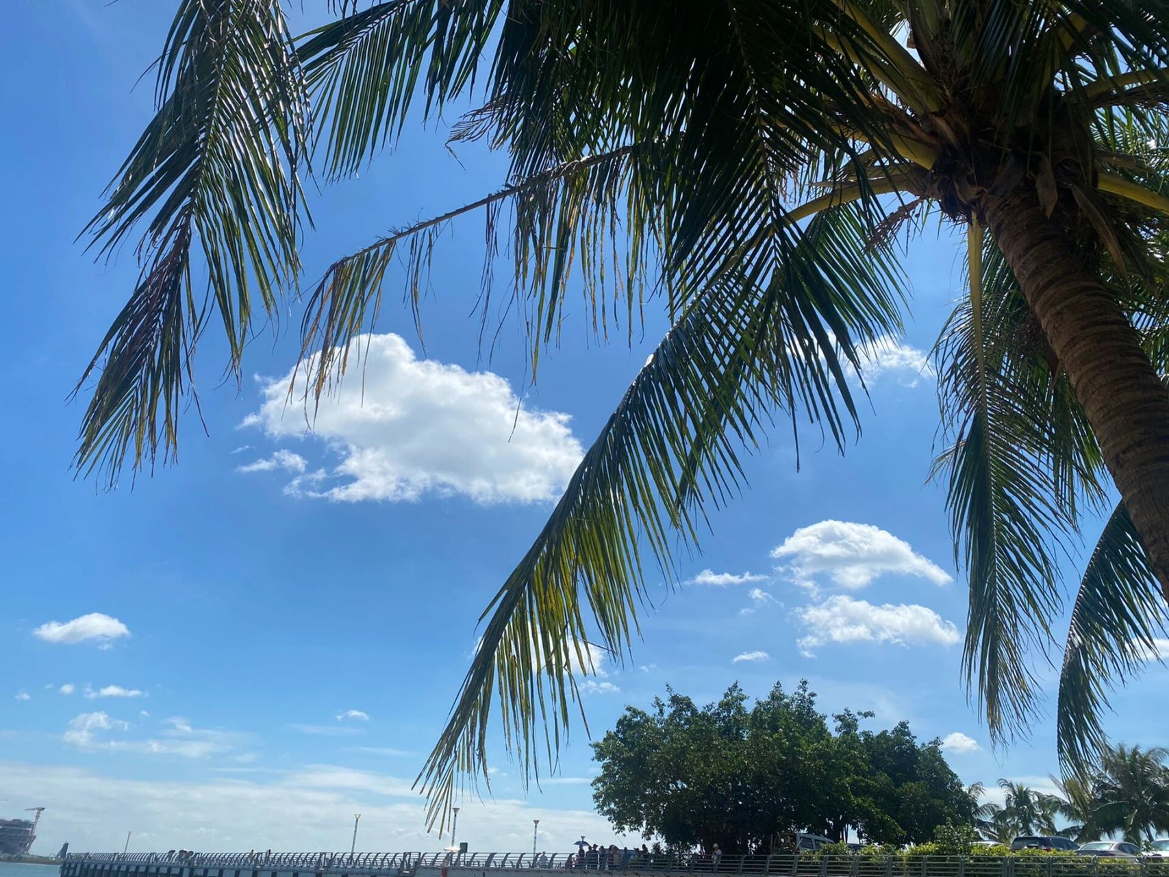 湛江金沙湾海滩    	 湛江金沙湾海滩,建议下午五点后去,白天真的是太