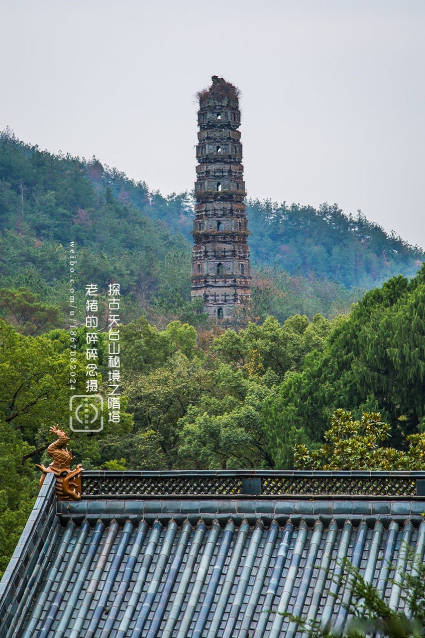 台山通济塔图片