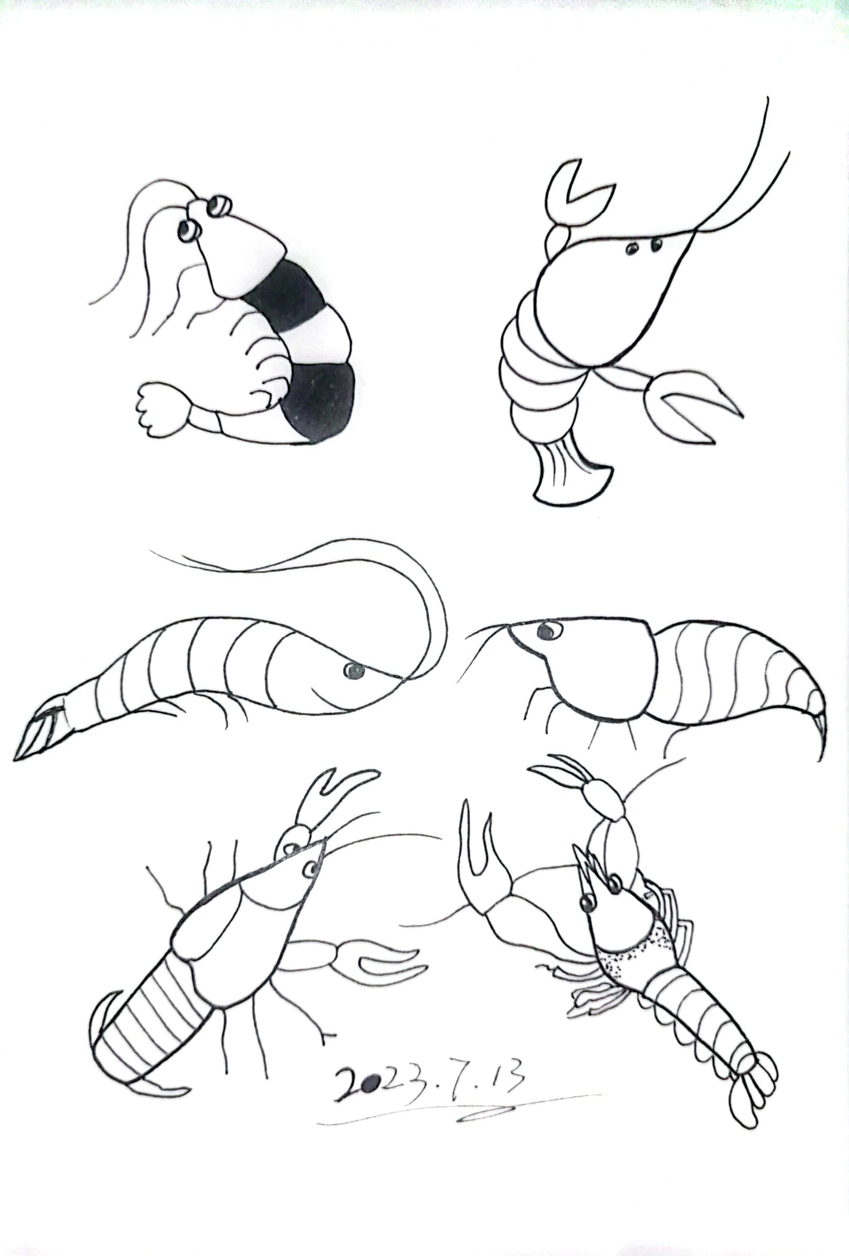 no.17 简笔画 虾子 手账美食素材