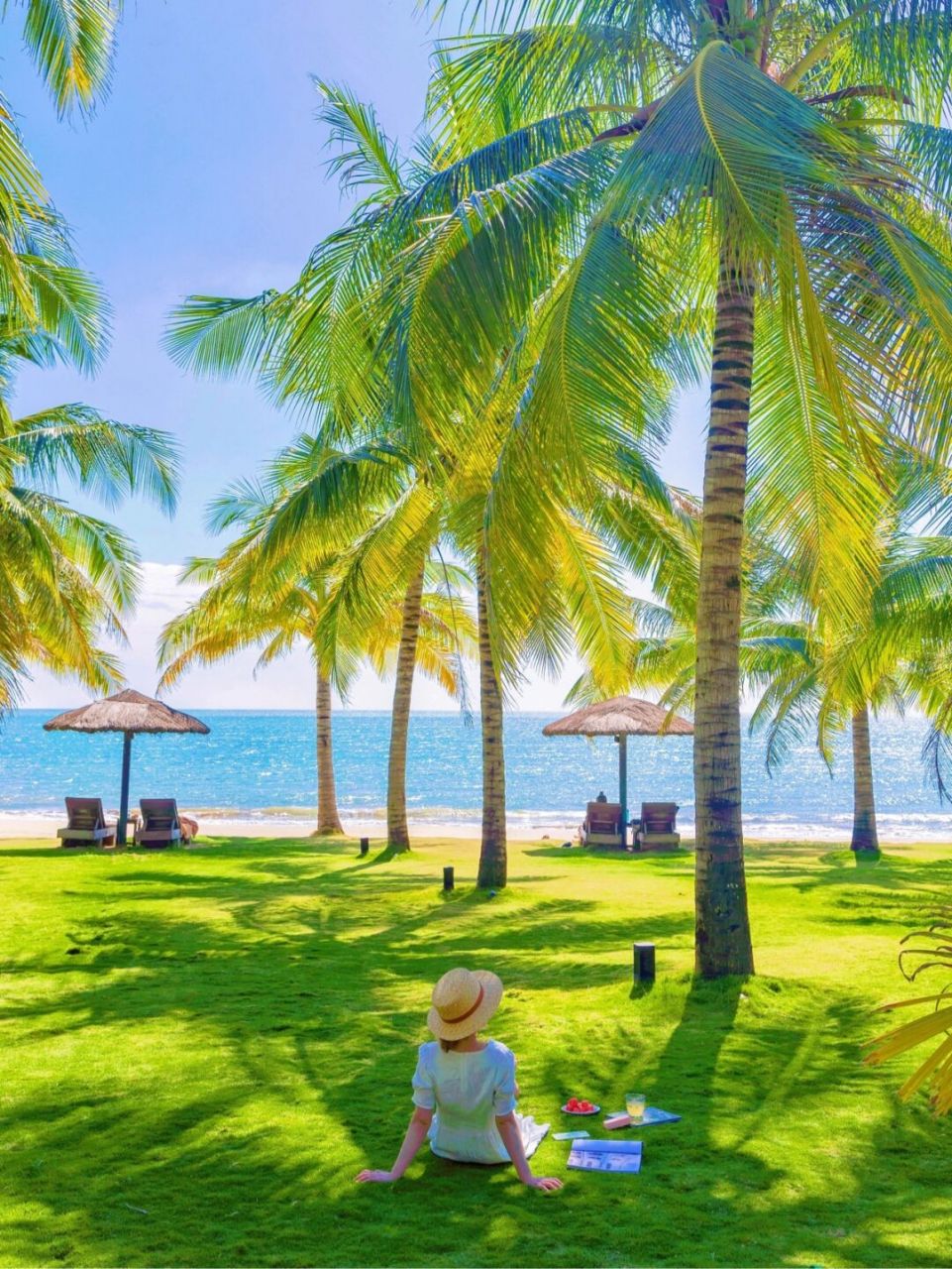 偶然在小红书上看到一张照片 椰林,沙滩,草地,大海 这就是我梦想中的