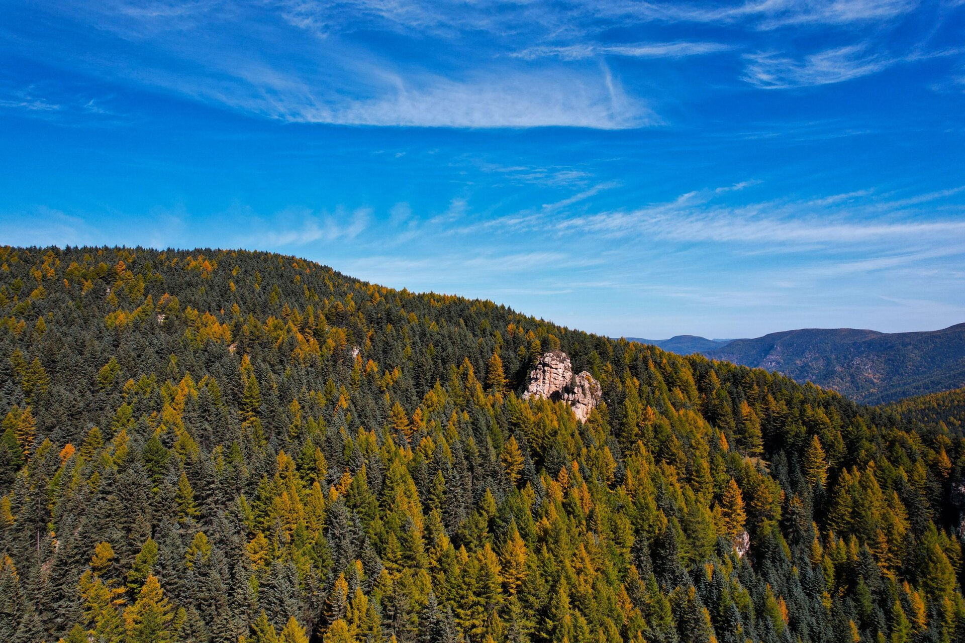 五寨荷叶坪 荷叶坪只能自驾去 从宁武导航到荷叶坪一路会经过芦芽山