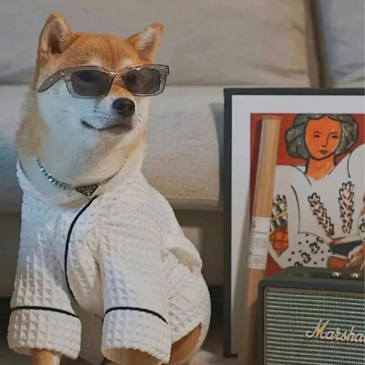 可爱小柴头像 快乐修勾小柴犬头像