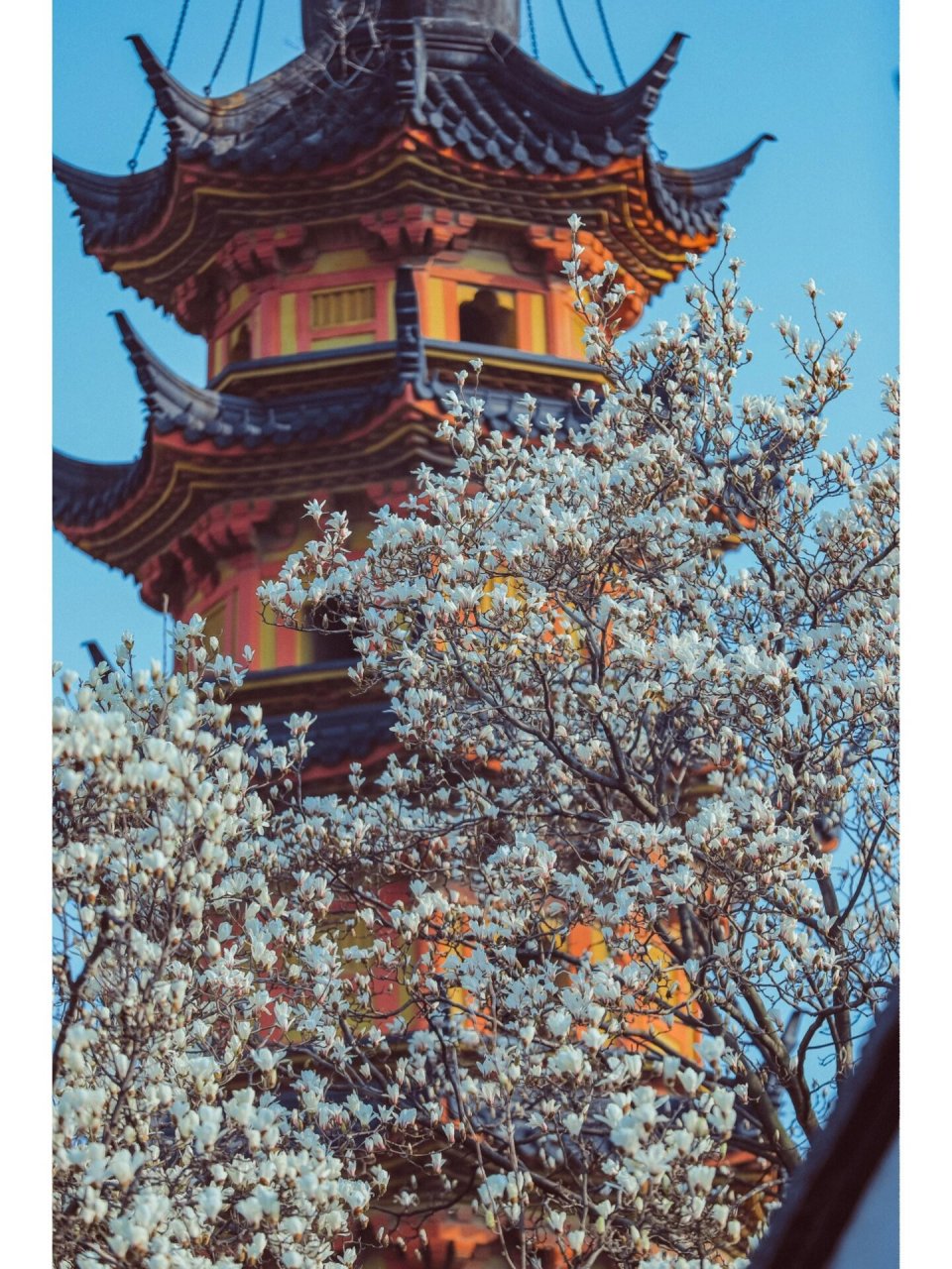 苏州双塔:江南古韵的双璧 9797 92 地理位置:江苏省苏州市姑苏