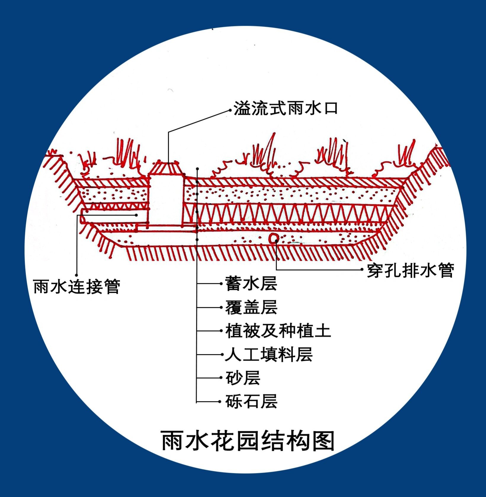 雨水花园结构分析图图片