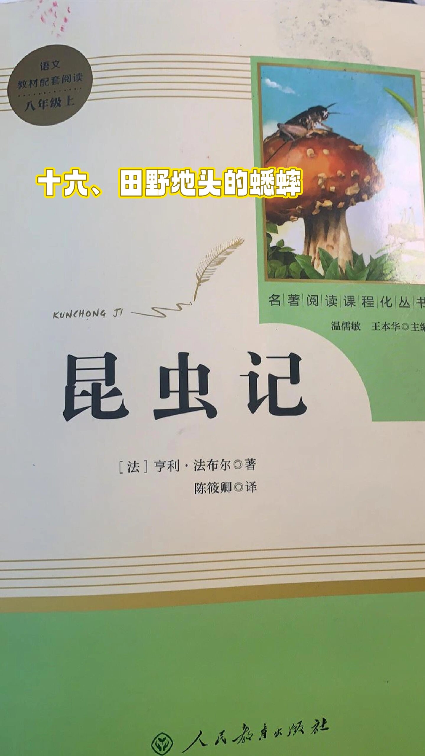 昆虫记 十六篇 田野地头的蟋蟀