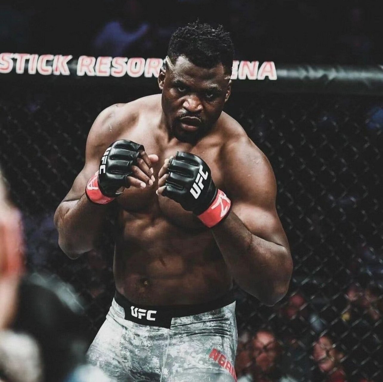 铁血vs约书亚 80亿最强男ufc重量级冠军"铁血"弗朗西斯-纳干诺与wba