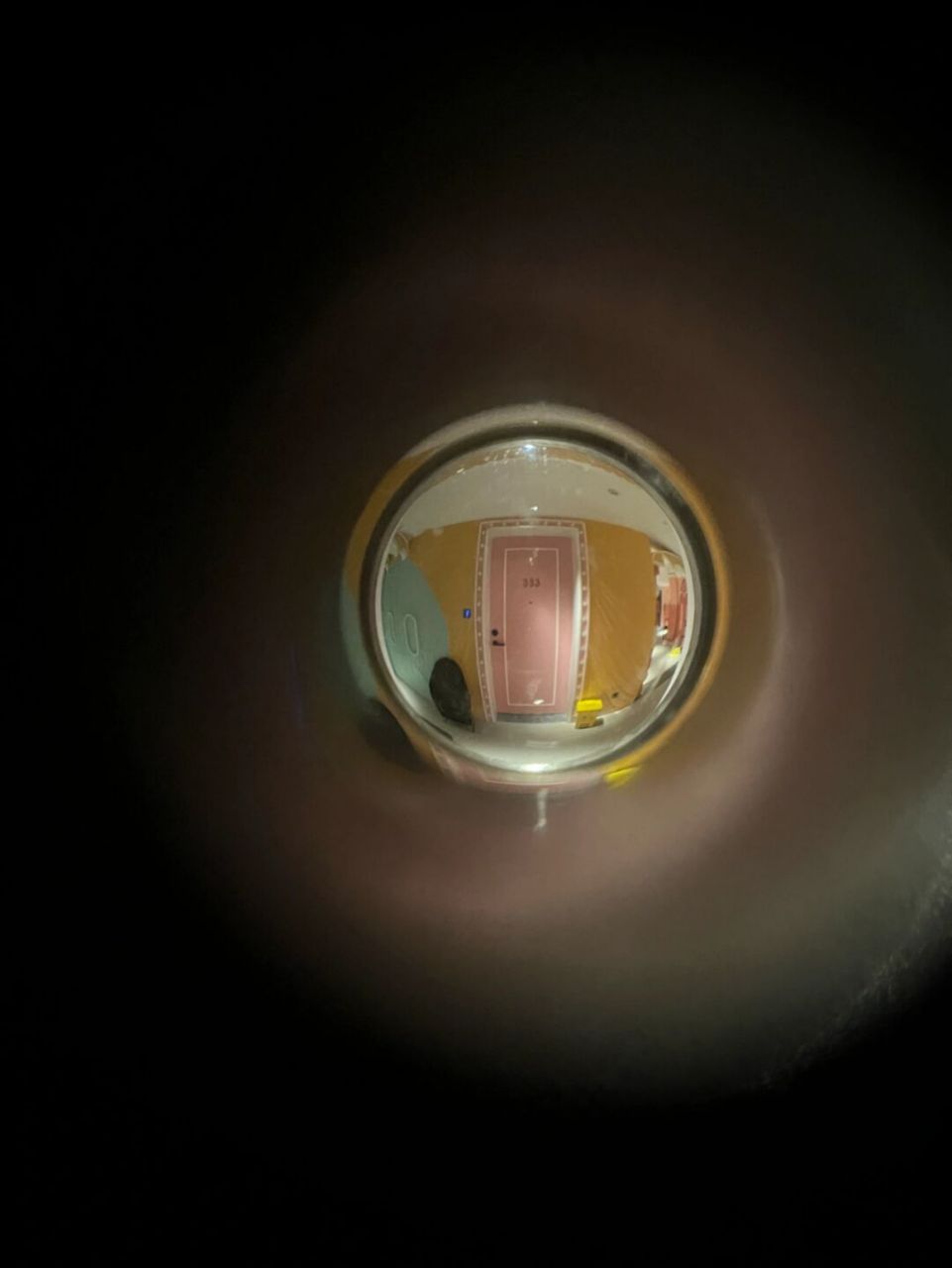 隔离酒店 天津入境隔离完14天,受尽酒店里"天津美食"的折磨以后,终于