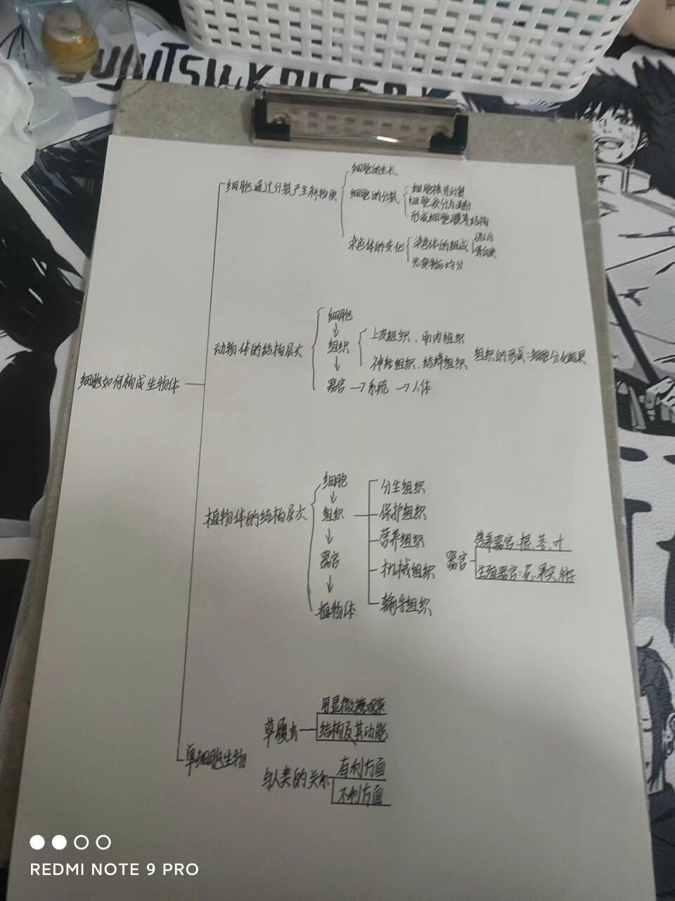 细胞的癌变的思维导图图片