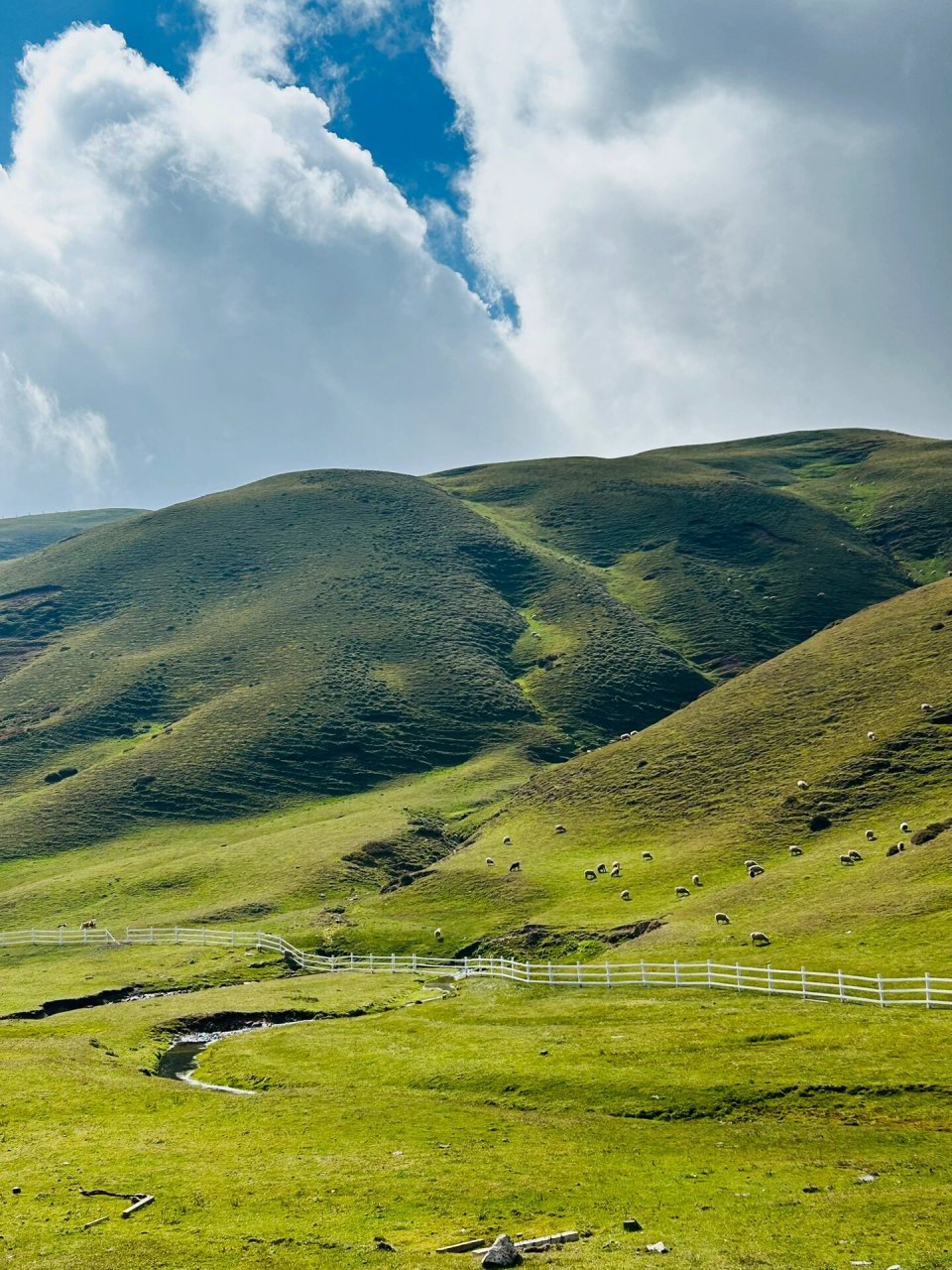 不想去第二次 今天趁着周末自驾去了99曲靖会泽大海草山 	 大海草山