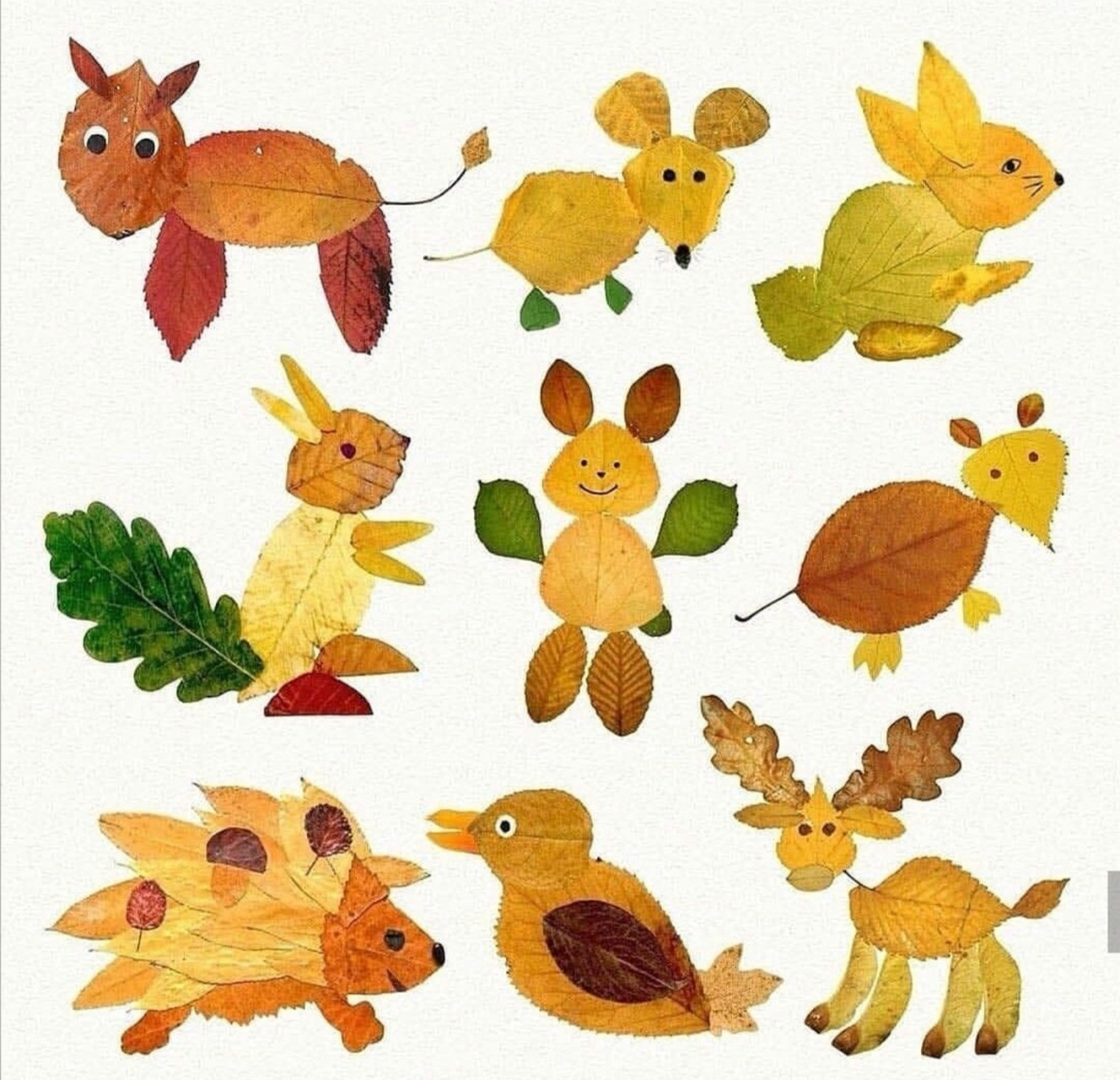 百种树叶创意动物贴画,幼儿手工参考