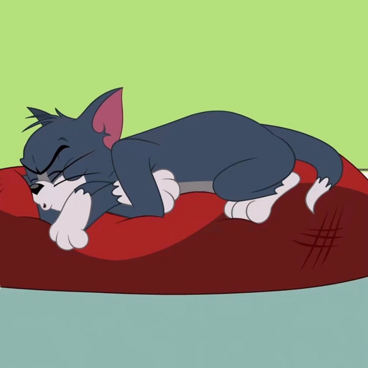 猫和老鼠第一弹🫧 谁能拒绝一个认真读书的小杰瑞呢