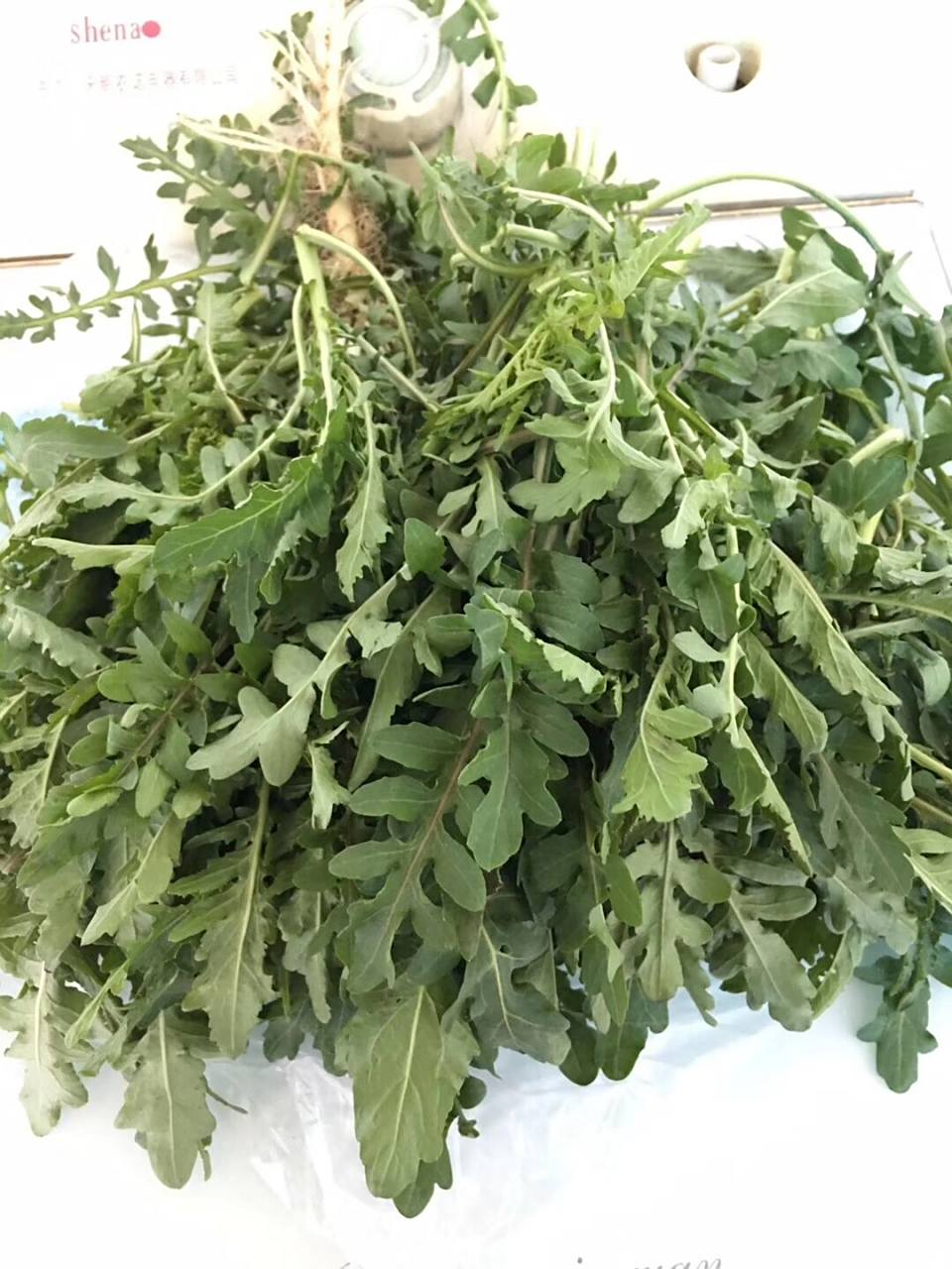 水荠菜 这几天总刷到荠菜,我老家辽宁人海城人,大部分人吃的是水荠菜