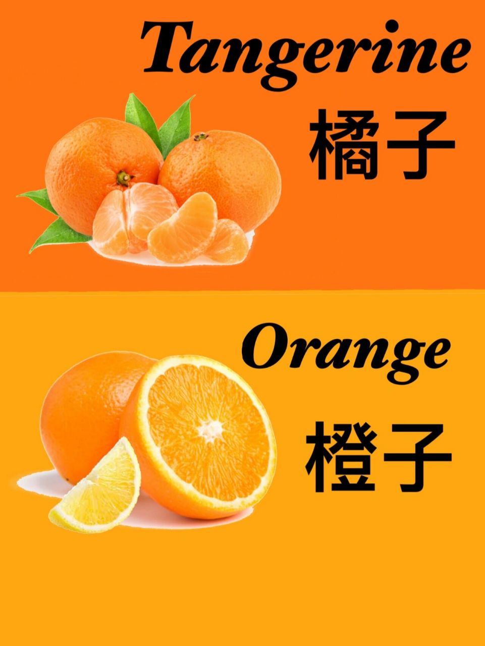 橘子和橙子啥区别?