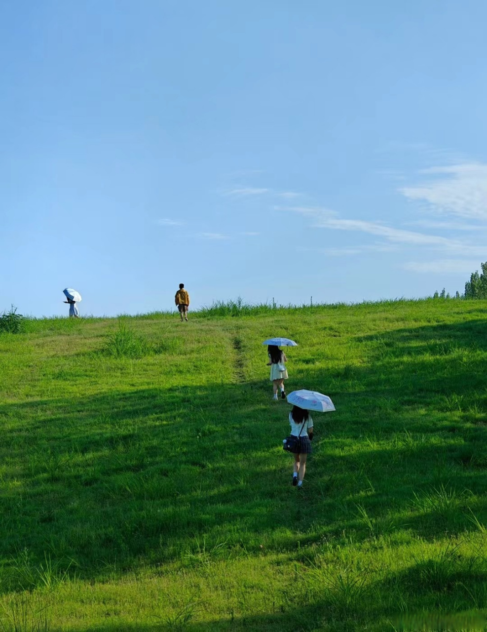 总要去趟腾冲吧# 【腾冲东山草原碧草连天 美景如画】盛夏,云南保山