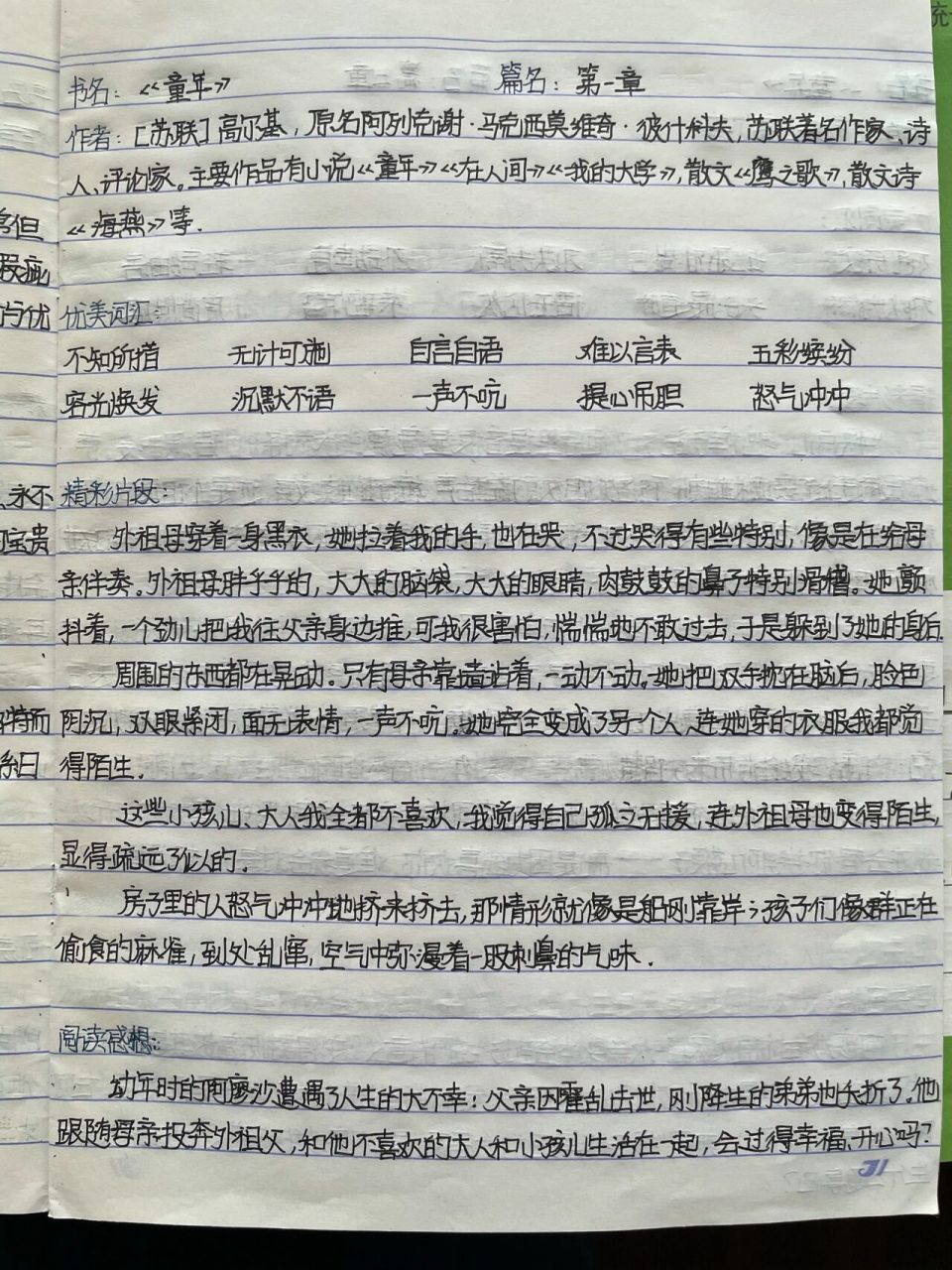 读书笔记《童年》第一章