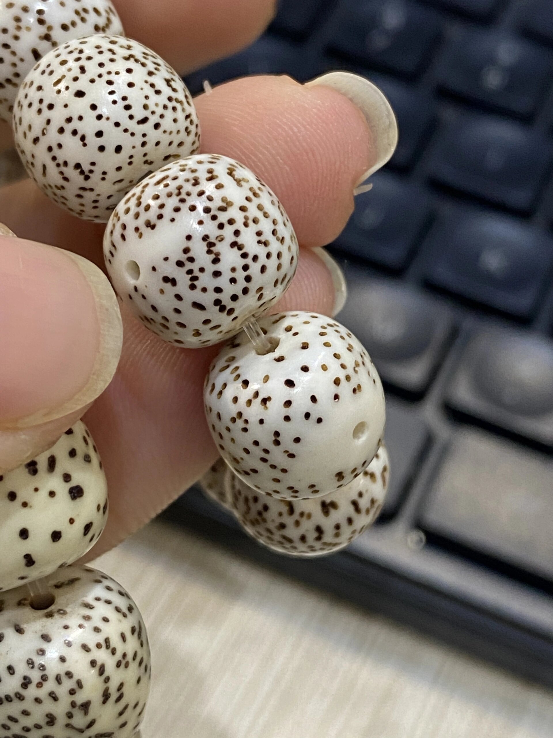 脱脂顺白与原生态顺白星月菩提的区别6015