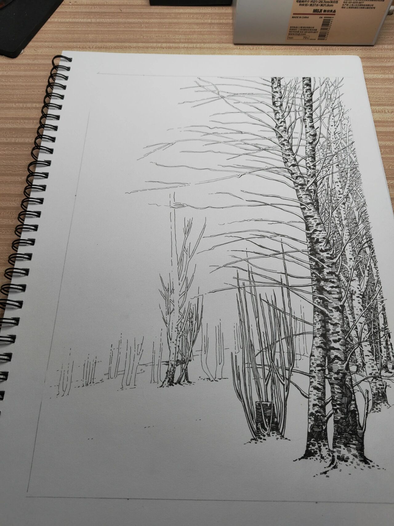 【钢笔画】树林 冬天的小树林.