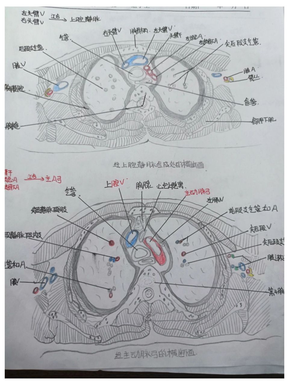 断层示意图怎么画图片