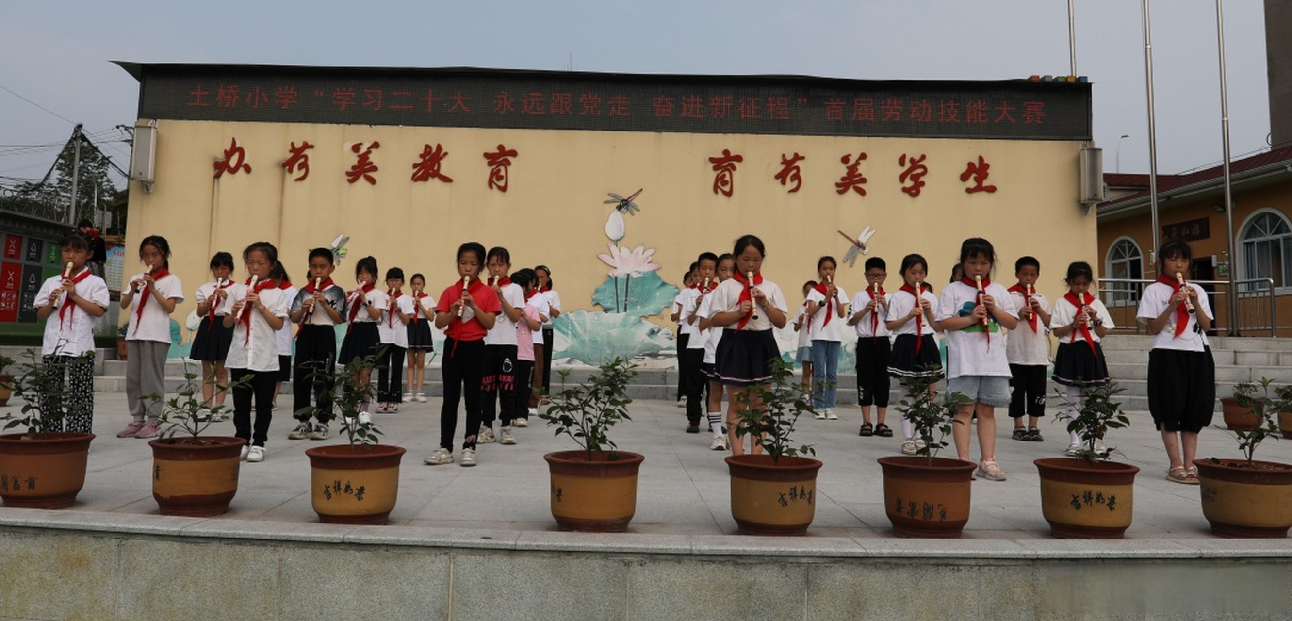 【劳动技能秀   萌娃显身手】近日,铜梁土桥小学举行了"学习二十大